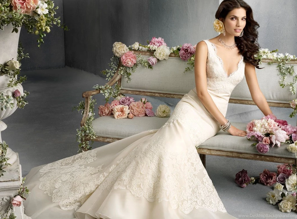 Vera Wang Wedding Dress Lace Styles
