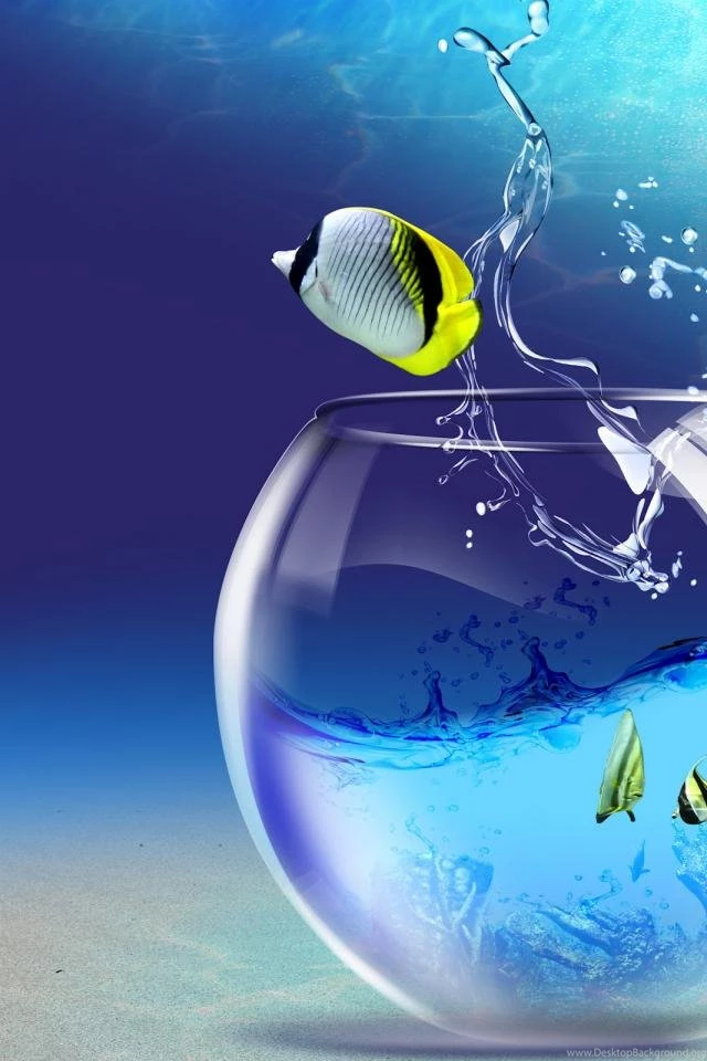 Animals Fish Desktop Hd Wallpaper, 3d Wallpapers ~ Hd Desktop ...