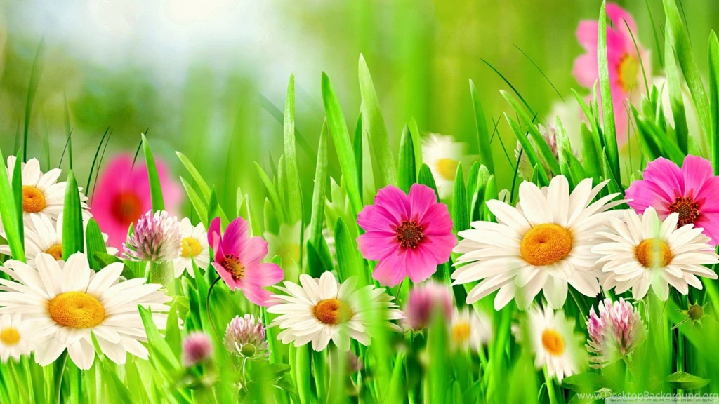 Happy Easter 2016 Desktop Wallpapers HD