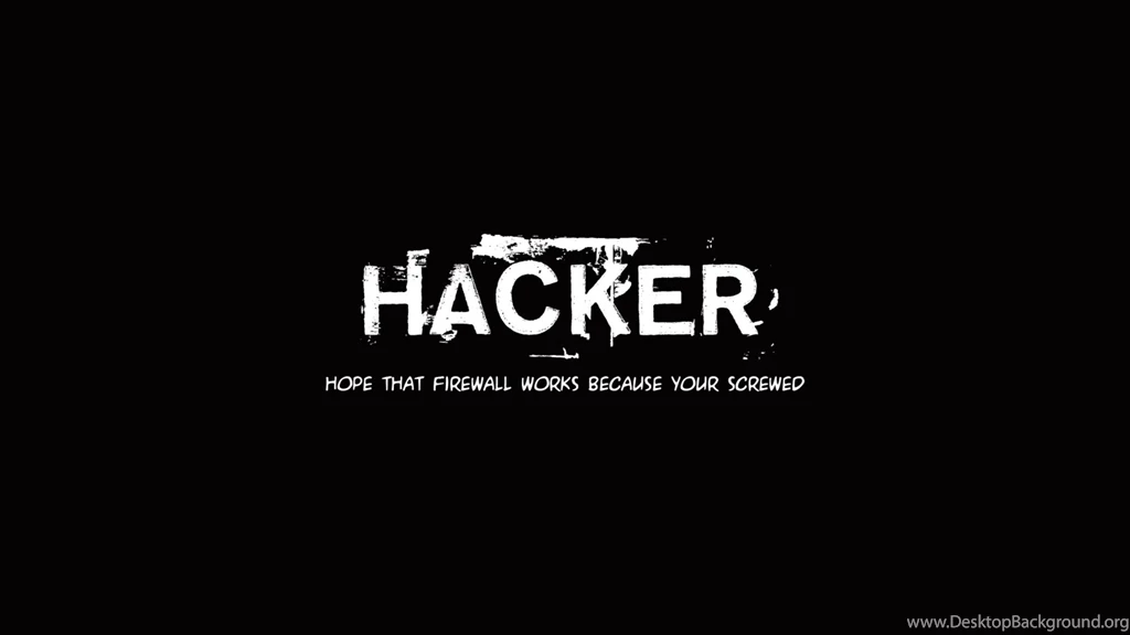 Funny Wallpapers Hd Collection (33+)
