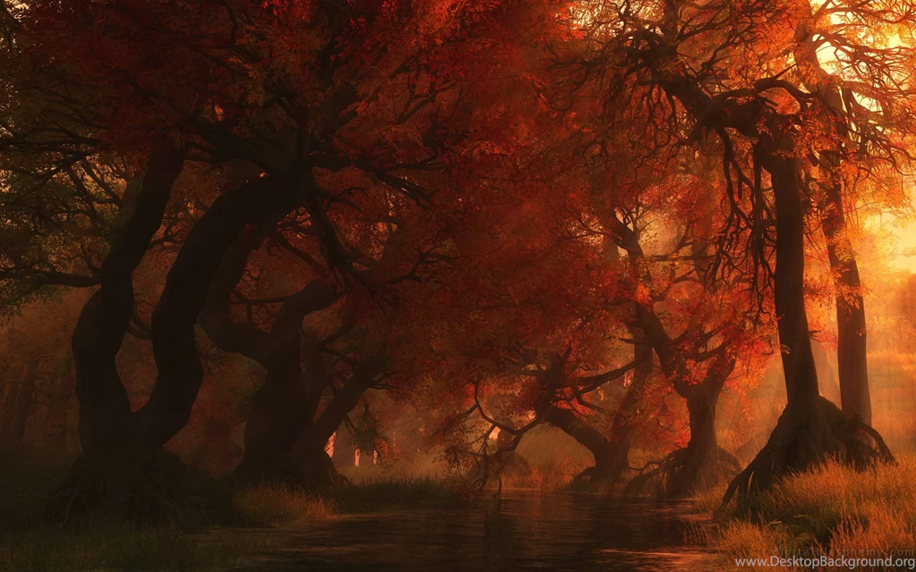 Awesome Landscapes Nature Trees Autumn Artistic Beautiful Forest ...