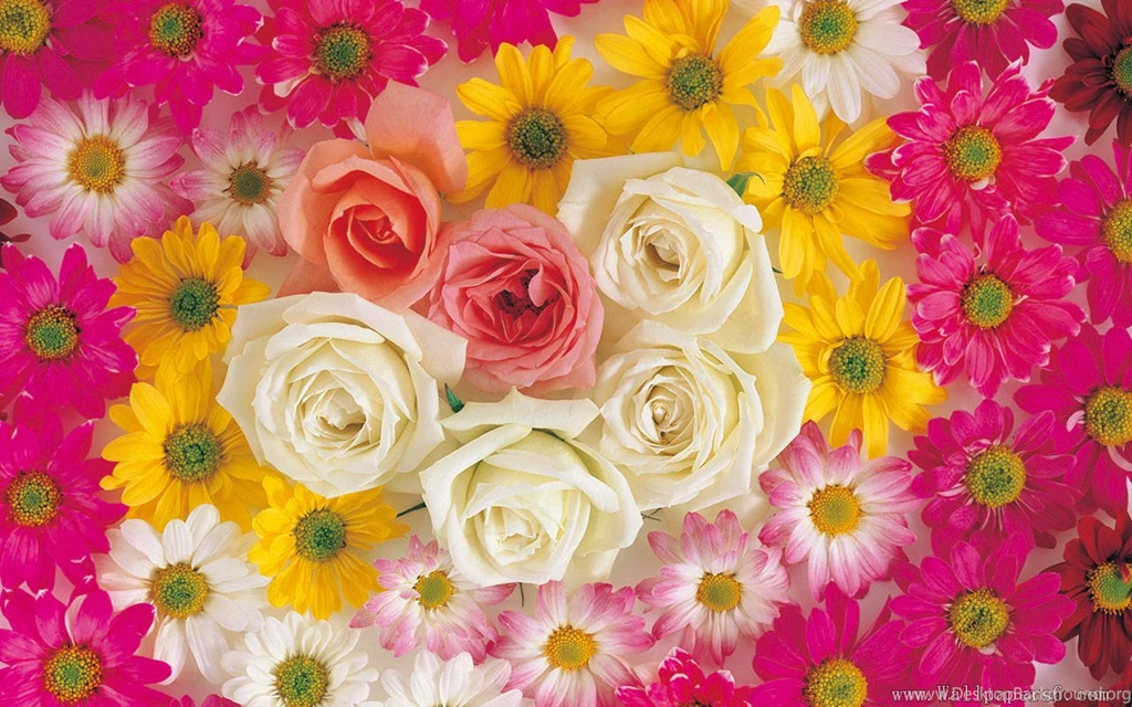 Free Flower Wallpapers For Computer