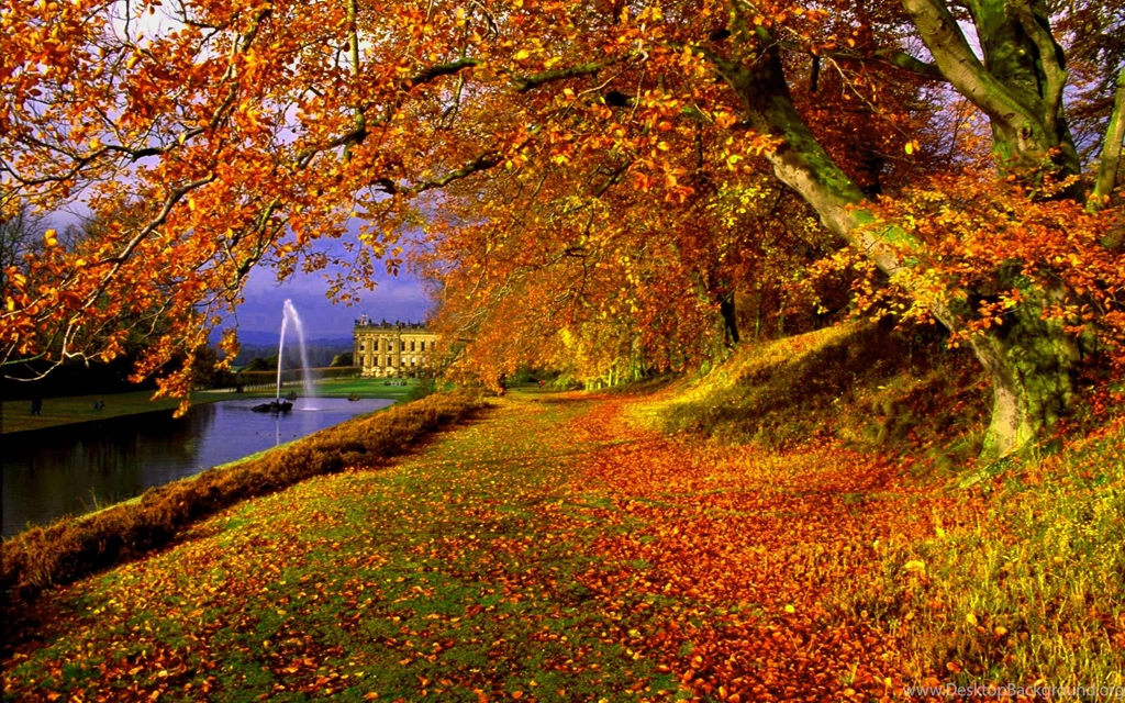 Free Computer Wallpapers Fall – 2560×1600 High Definition Wallpapers ...