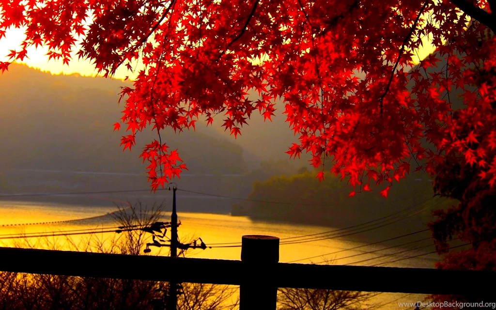 Fall Leaves Wallpapers Desktop Backgrounds   Uncalke.com