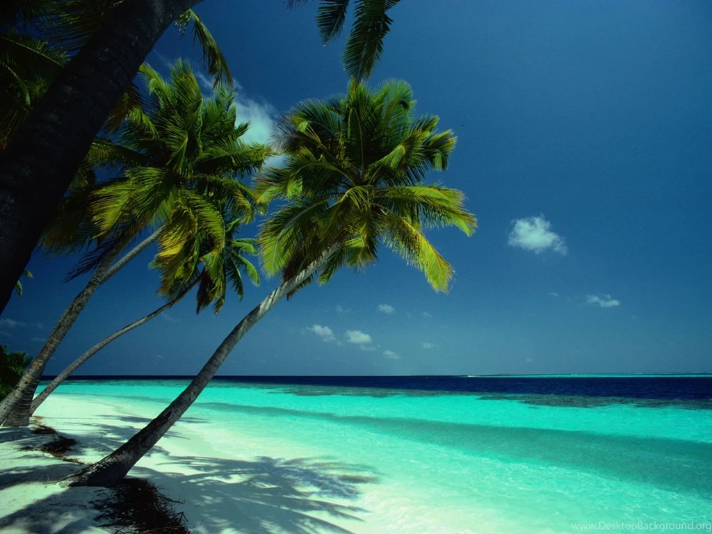 Amazing Picture HD For PC Wallpapers Free 2016 HD Wallpapers Galeries