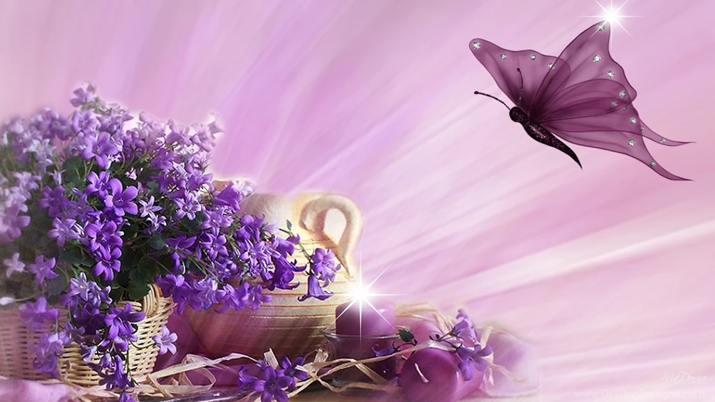Butterfly And Flowers Wallpapers