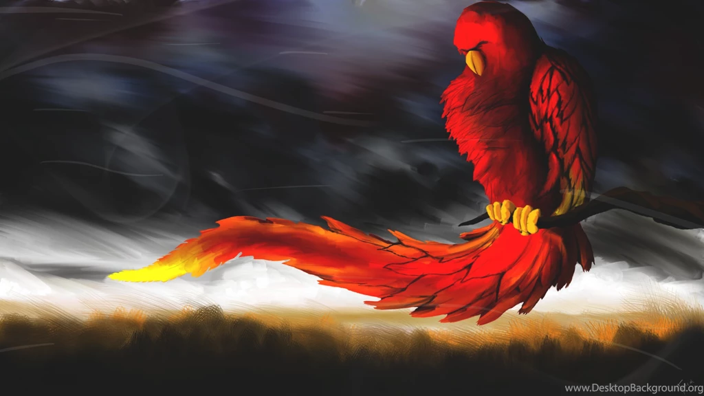 Red Parrot Bird 3d Backgrounds Wallpapers By BillGate ...