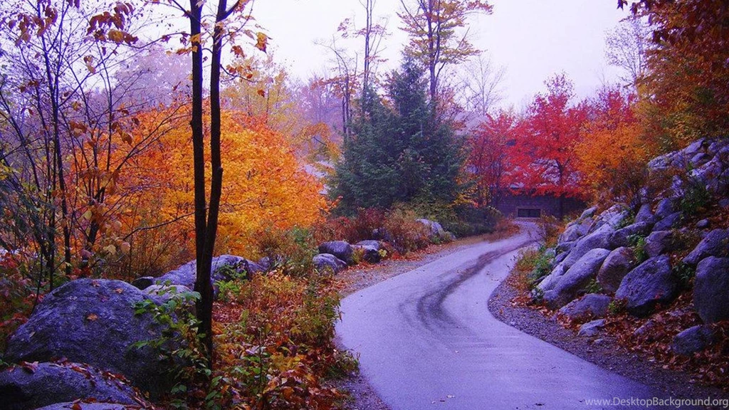 Fall In New England Wallpapers (