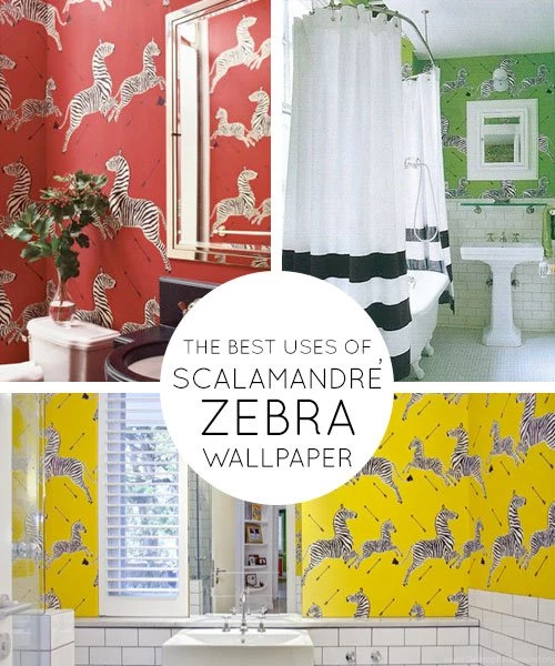 Stripes Are Always In: Oh So Iconic ScalamandrÃ© Zebra Wallpapers ...