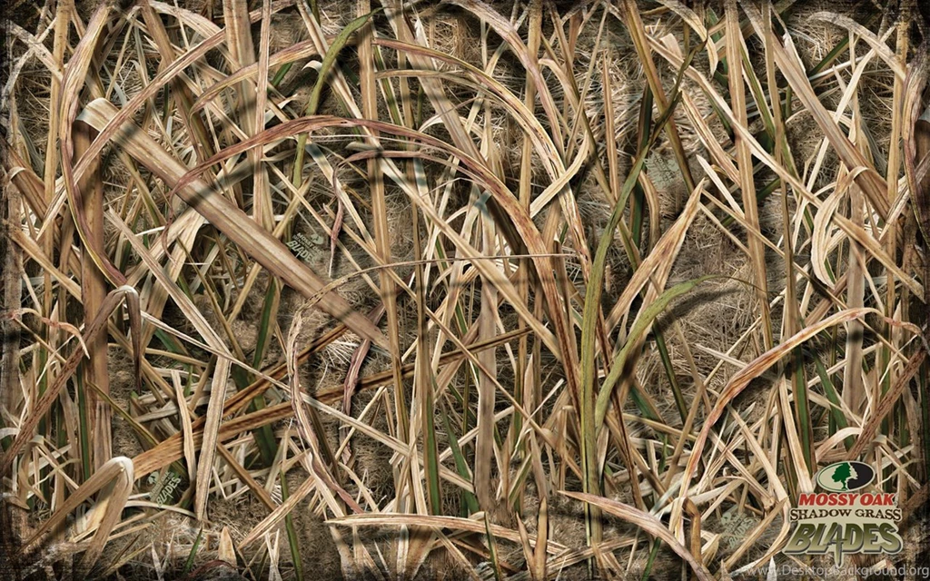 Mossy Oak Wallpapers Download