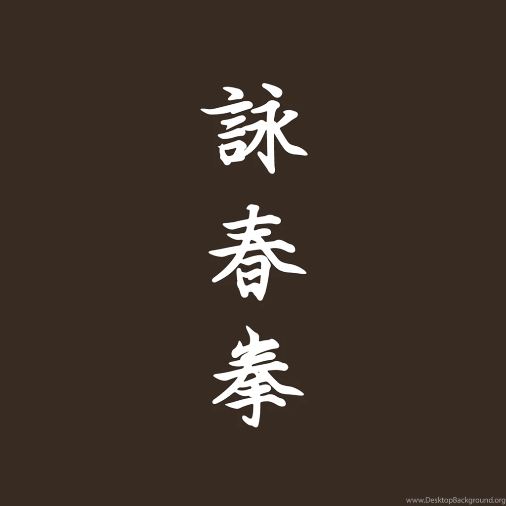 Samsung Galaxy S4 I9500 Decal Skin Wing Chun Ving Tsun