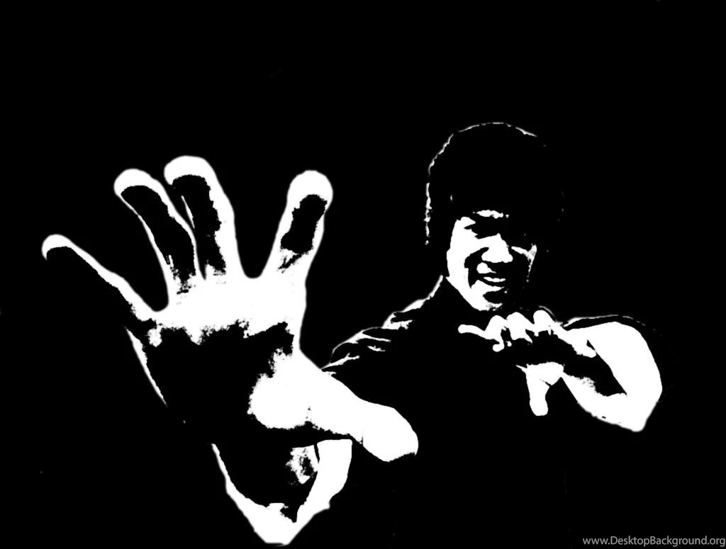 Tribute To Wing Chun And JKD