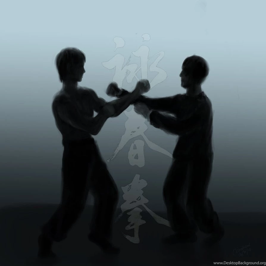 WING CHUN By Chinghow On DeviantArt