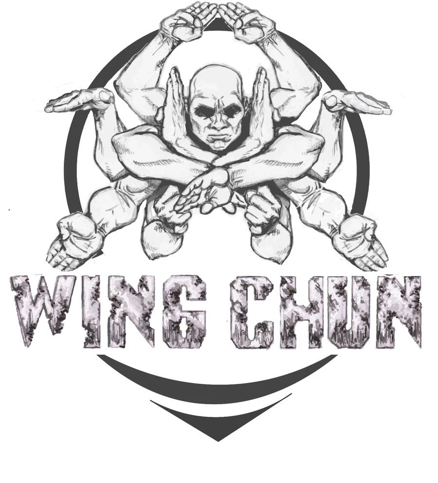 RePin Image: Wing Chun Kung Fu On Pinterest