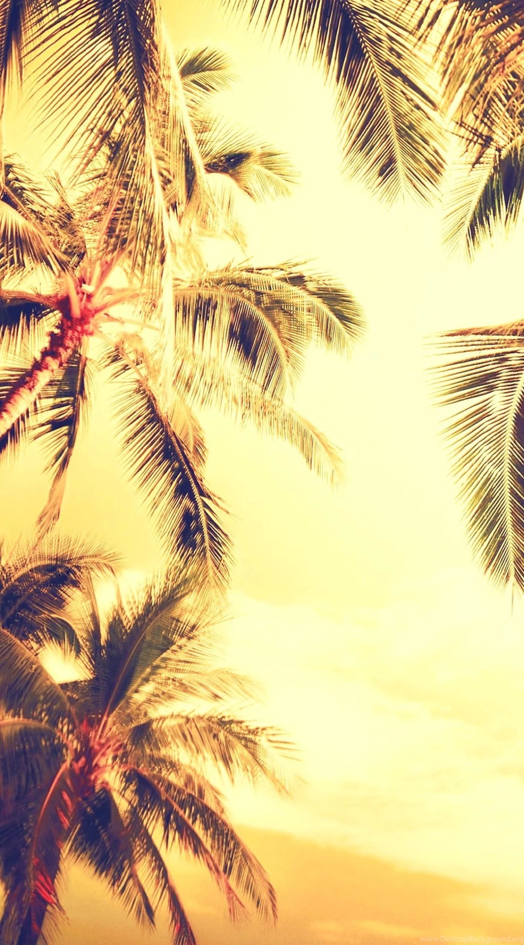IPHONE 6 WALLPAPER TUMBLR HD WF1006