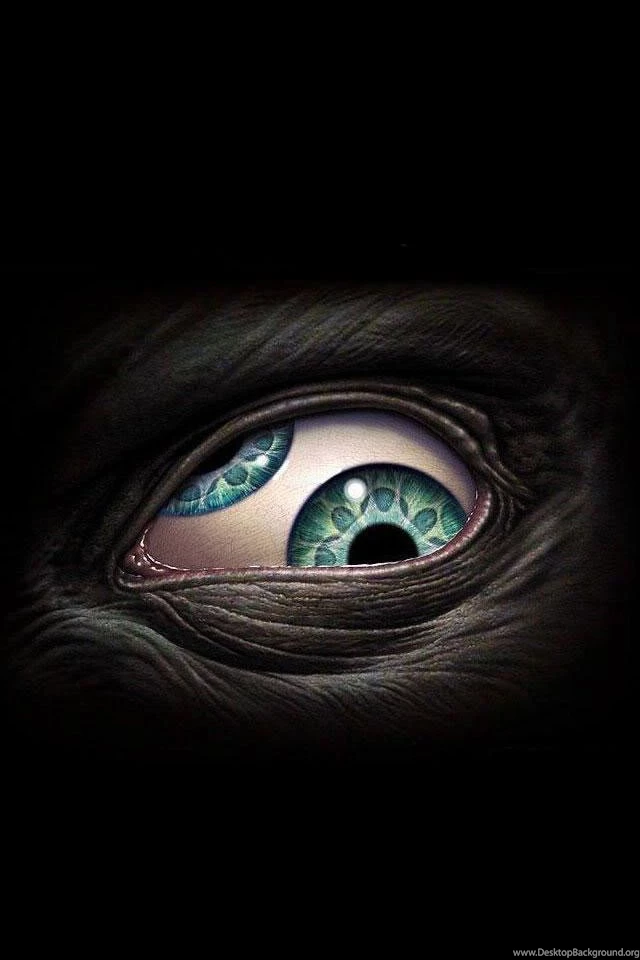 25 Top Rated Selective iPhone 4 Retina Wallpapers (640×960)