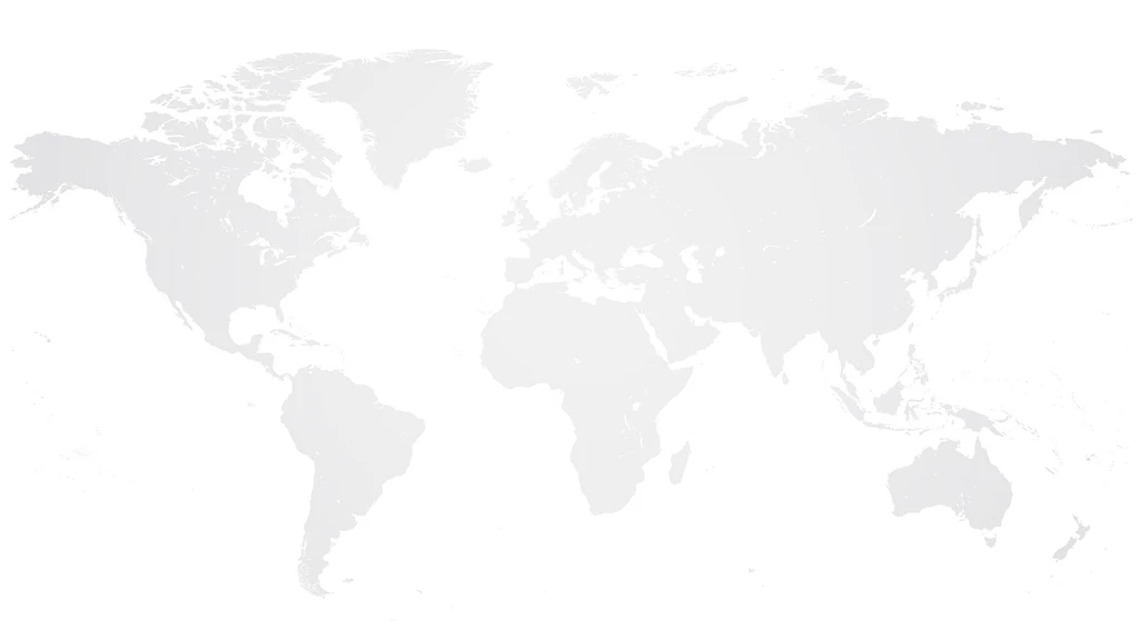 Background world map APIS Global Talent Partner