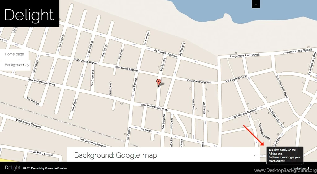 Background: Google Map