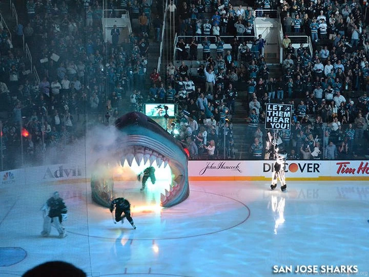 WCQF Game Four SJSHARKS.COM 05/08/2013 San Jose Sharks Photos