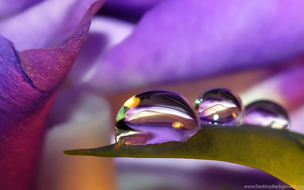 Terrific Pretty Colorful Wallpapers Ideas ~ Bamper: Beautiful Home ...