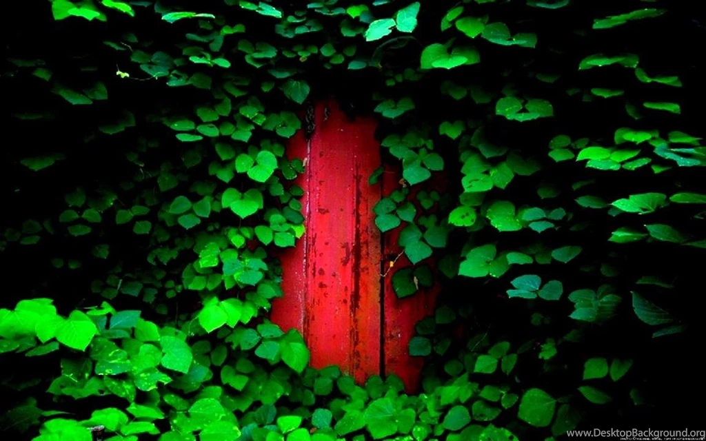 THE RED DOOR WALLPAPER   (