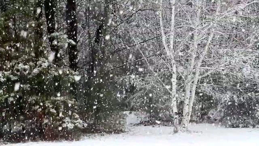 Falling Snow Live Wallpapers   Android Apps On Google Play