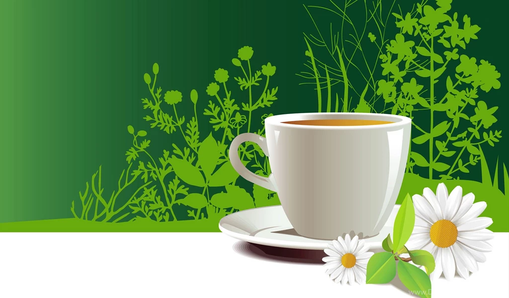 Good Morning Flowers Backgrounds Hd Wallpapers