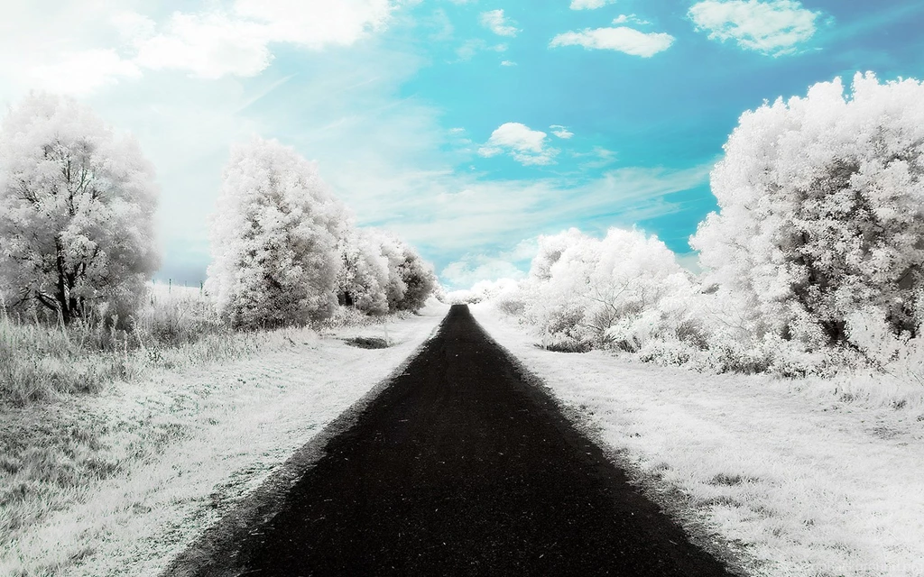 Winter Road Wallpapers 2015   Grasscloth Wallpapers