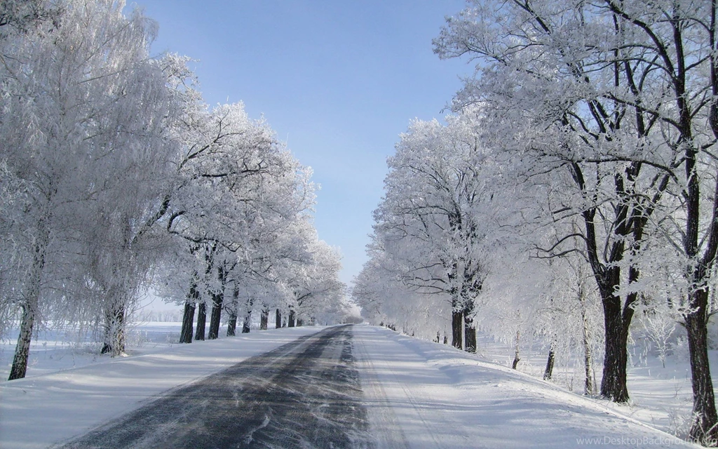 Winter Road Trees Snow Landscapes