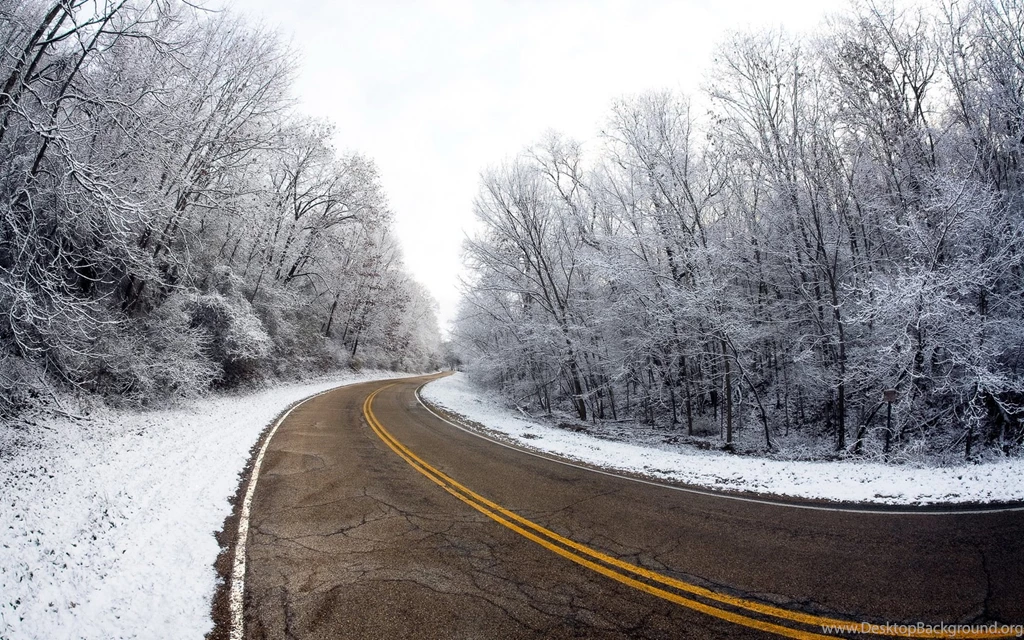 Road Winter Trees Landscape