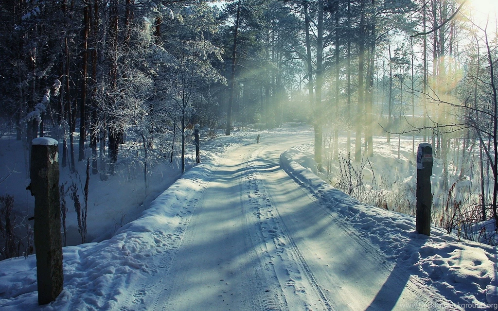 1920x1200 Winter Road & Forest Desktop PC And Mac Wallpapers