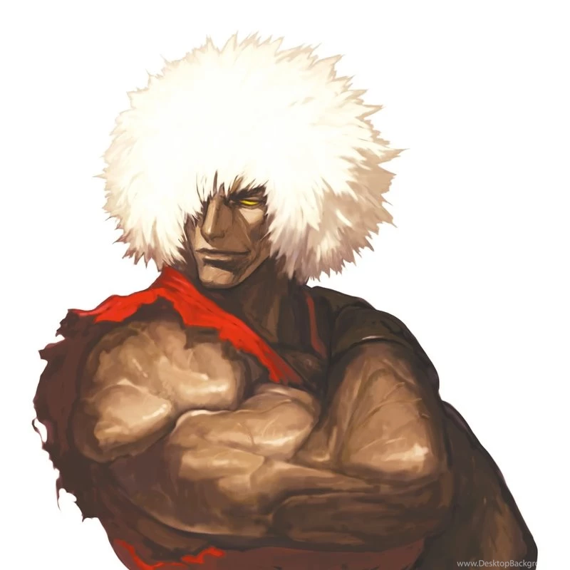 Street Fighter Ryu Ken Masters 2220x2492 Wallpapers – Video Games ...