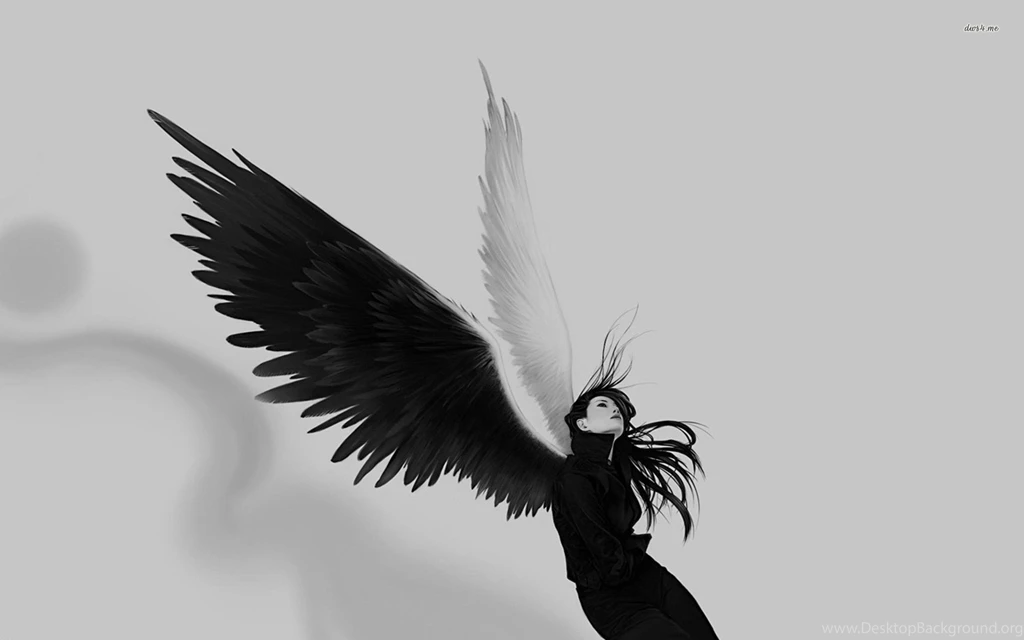 Two Black Winged Angels Hd Wallpapers 22955 Car Pictures