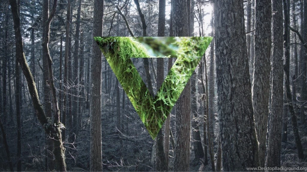 Wallpapers HD Forrest Collage, Hipster
