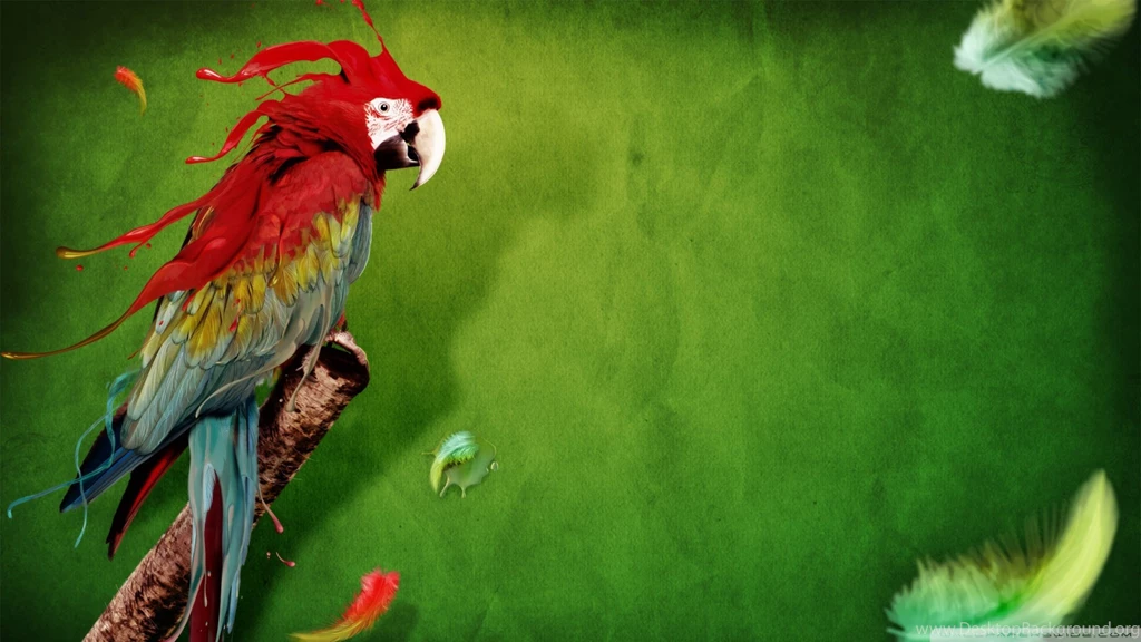 Green Parrot Names   Wallpaper.