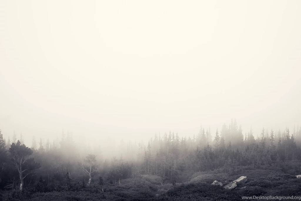 Ubuntu 14.04 LTS Default Wallpapers Available For Download ...
