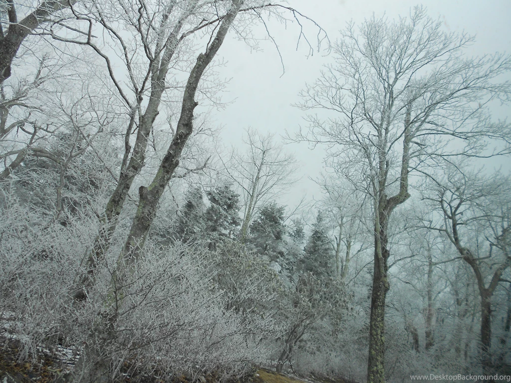 Narnia
