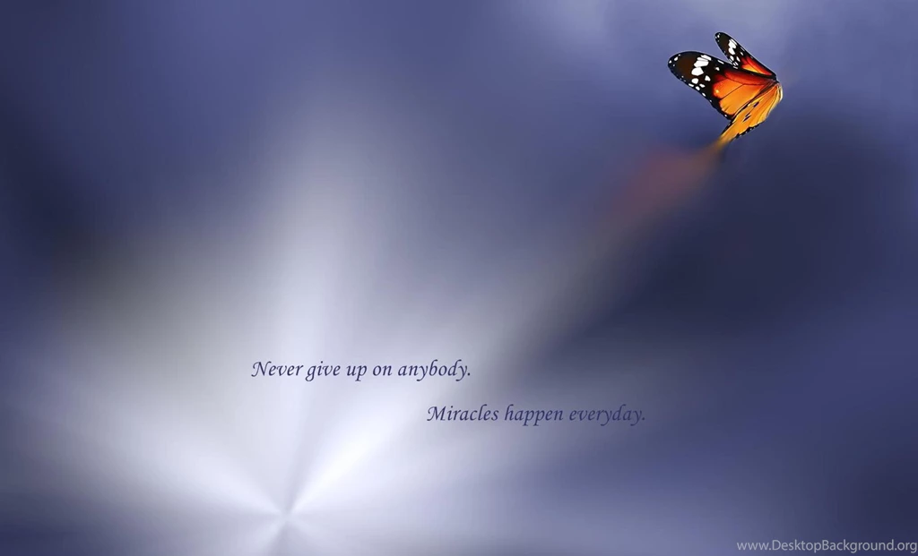 Never Give Up (
