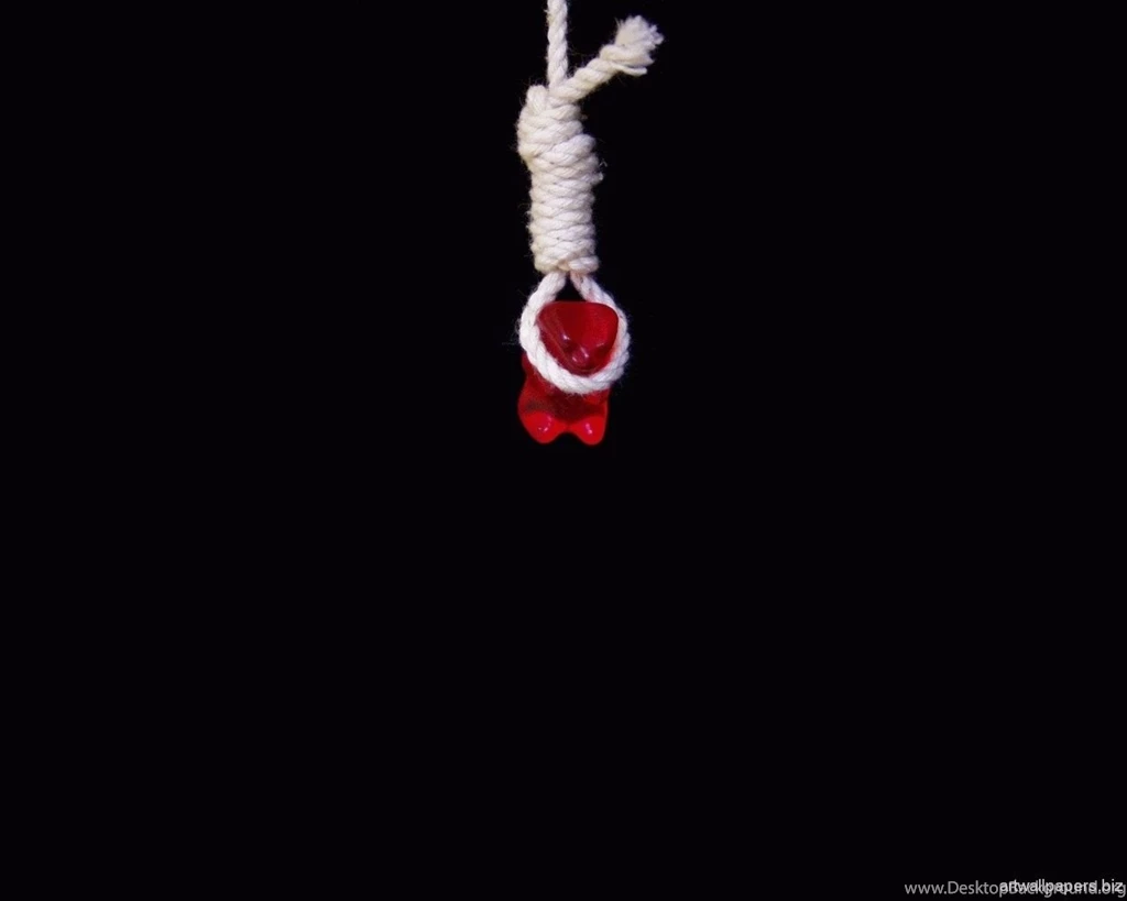 Funny Pictures For Backgrounds Wallpapers Cave