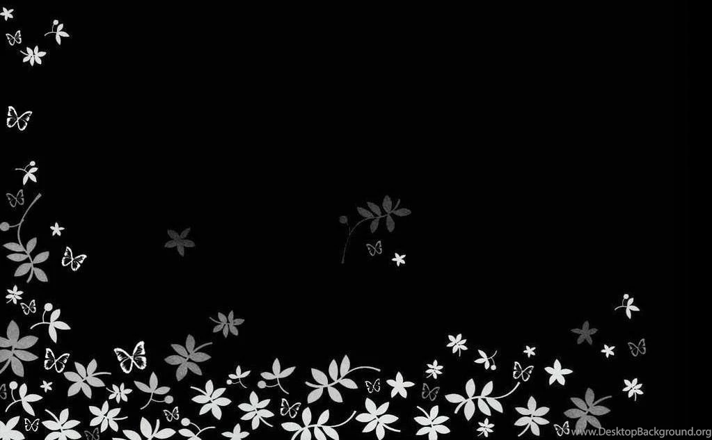 Plain Plain WhiteAnd Picture20 ItemPage 1 Of 1