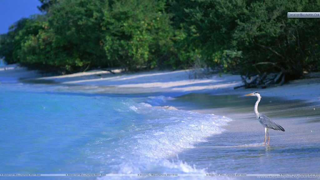 Beach And Sea Wallpapers, Photos & Images In HD