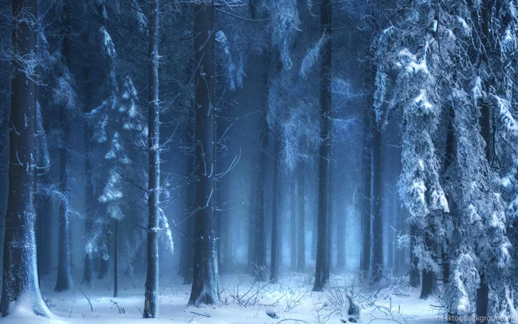 Frozen Forest S Wallpapers