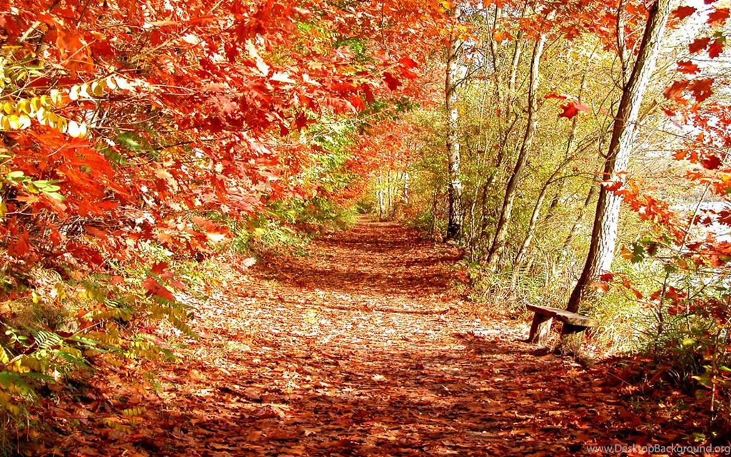 Wallpaper: Super Autumn Scenery Wallpapers