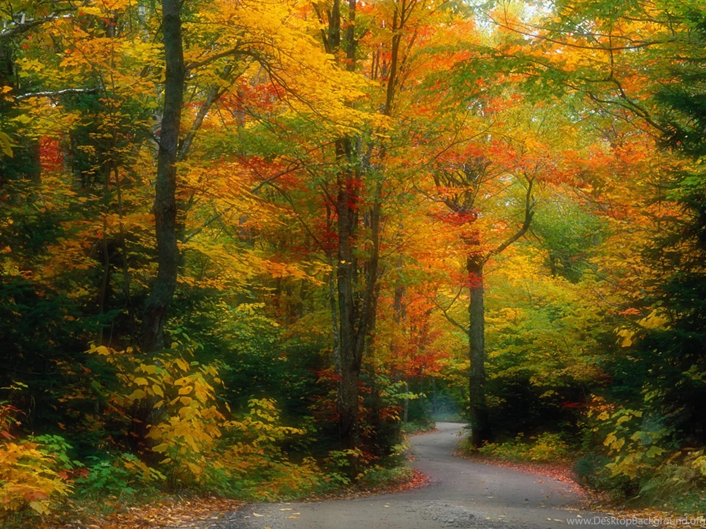 Autumn Wallpapers Scenery Wallpapers Nature