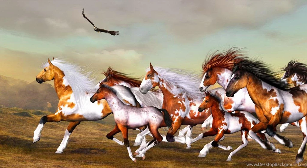 Wild Horses (