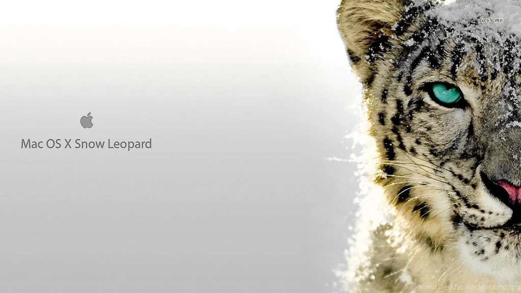 Snow Leopard Mac Os X Wallpapers Computer Wallpapers