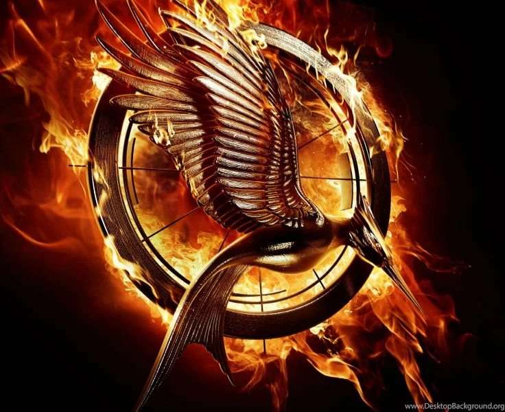 Download Hunger Games Mockingjay Wallpapers HD