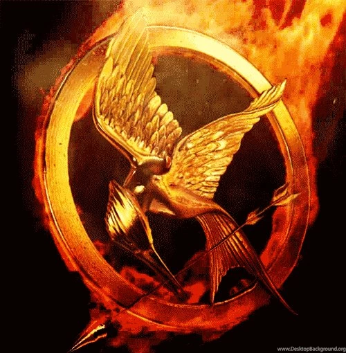Mockingjay (bird)   The Hunger Games Wiki   Wikia
