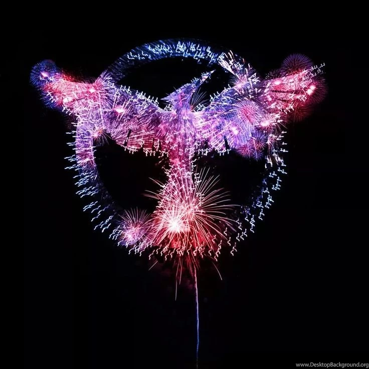 Mocking Jay In Fireworks, Perfect Background!