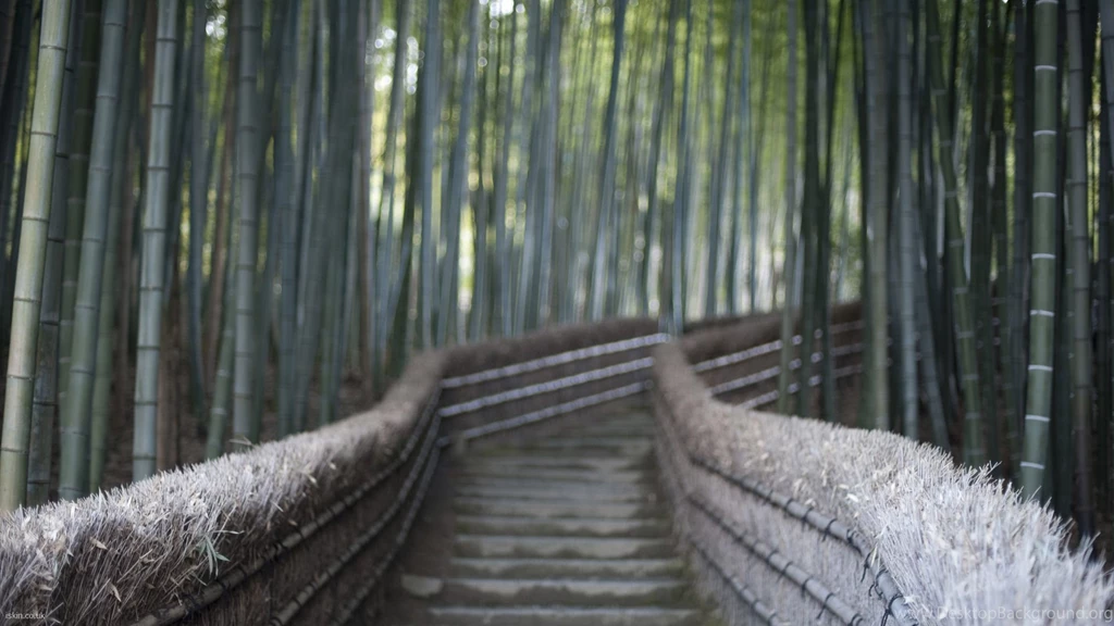 Bamboo Walkway Desktop Wallpapers